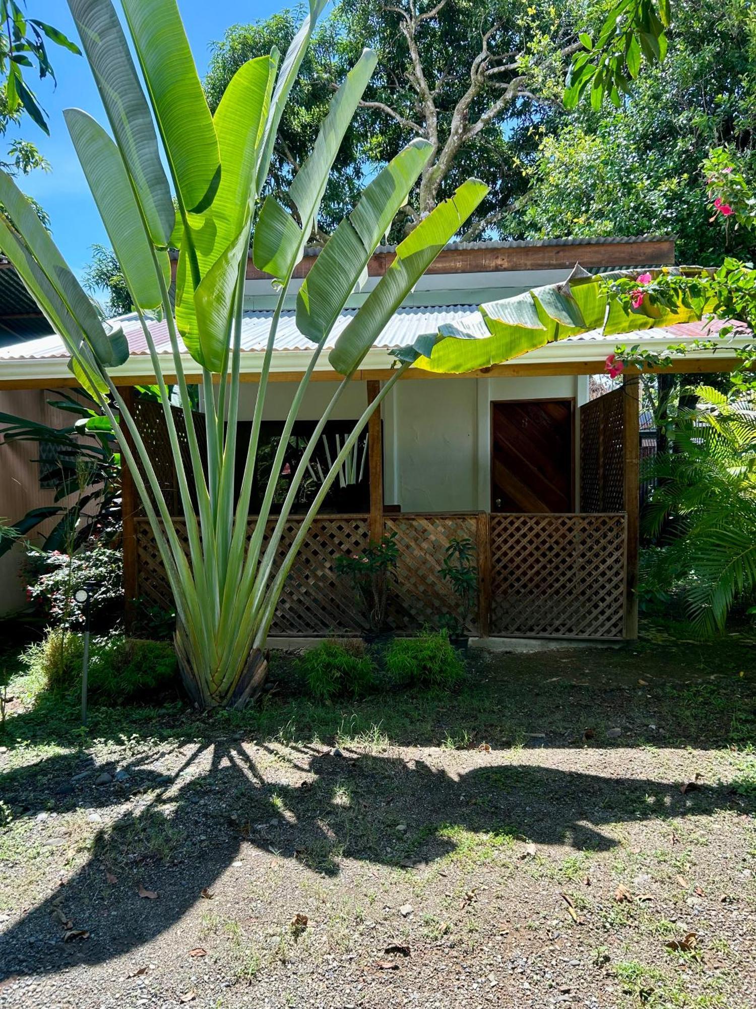 Ballena Oasis Homes & Glamping Uvita Exterior photo