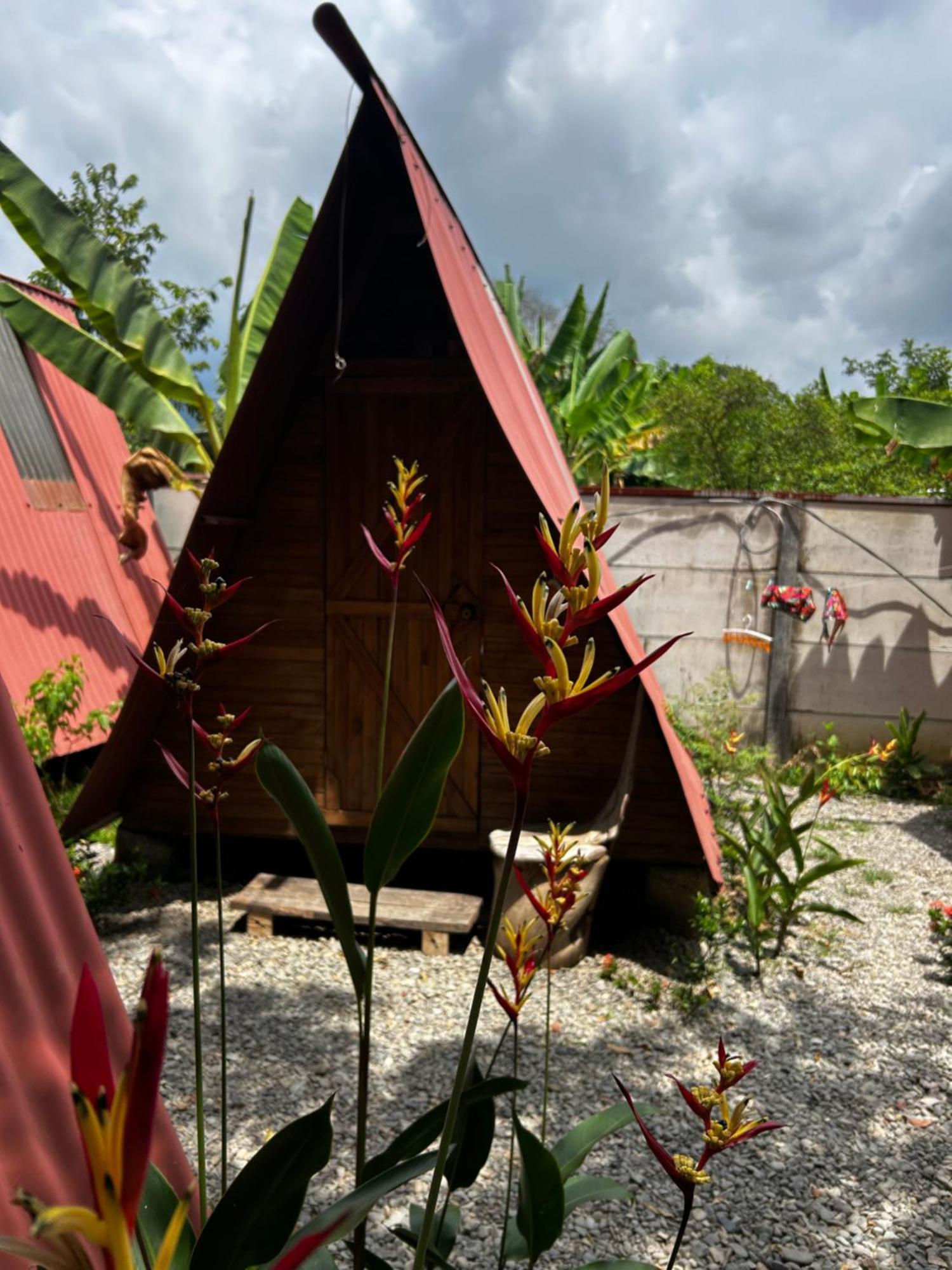 Ballena Oasis Homes & Glamping Uvita Exterior photo